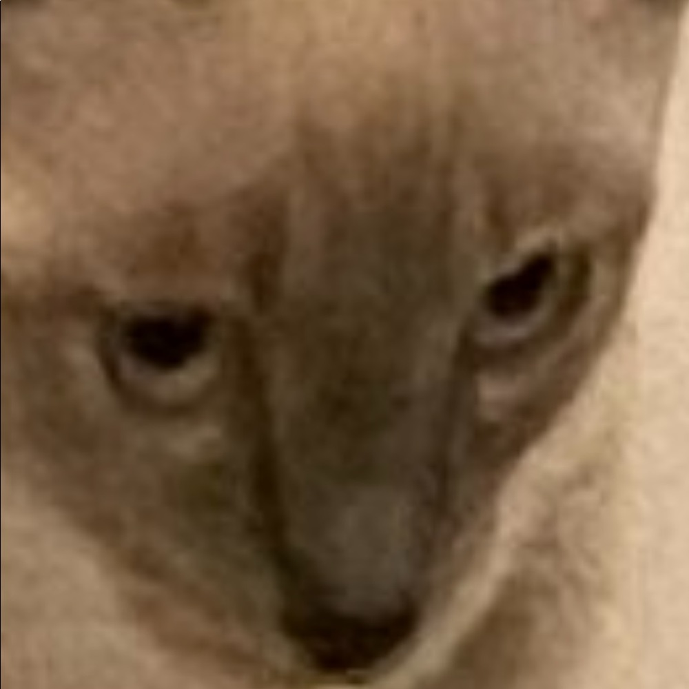 Meet your Posher, My